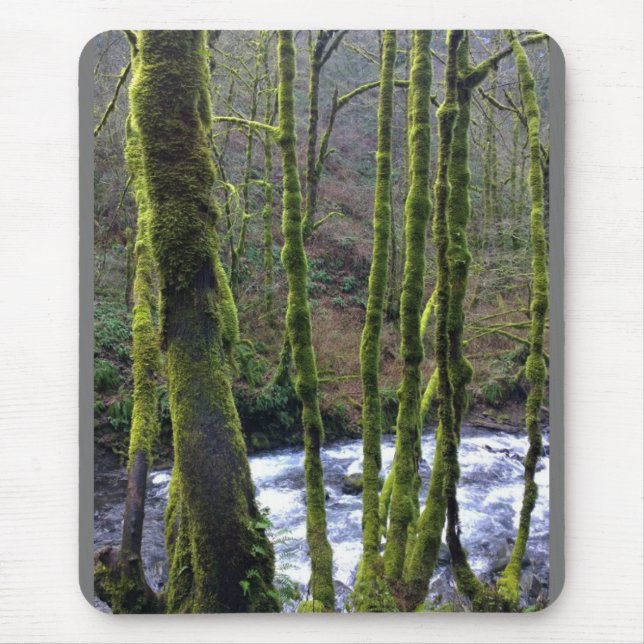 Absturz von Bridal Veil Falls, OR Mousepad (Vorne)