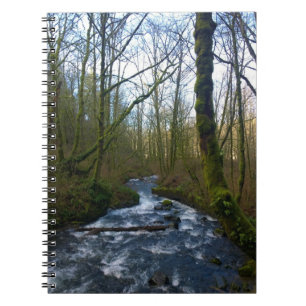 Absturz von Bridal Veil Falls, OR Notizblock