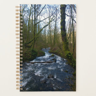 Absturz von Bridal Veil Falls, OR Planer