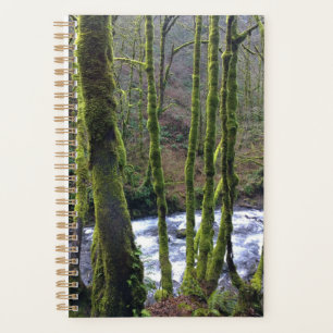 Absturz von Bridal Veil Falls, OR Planer