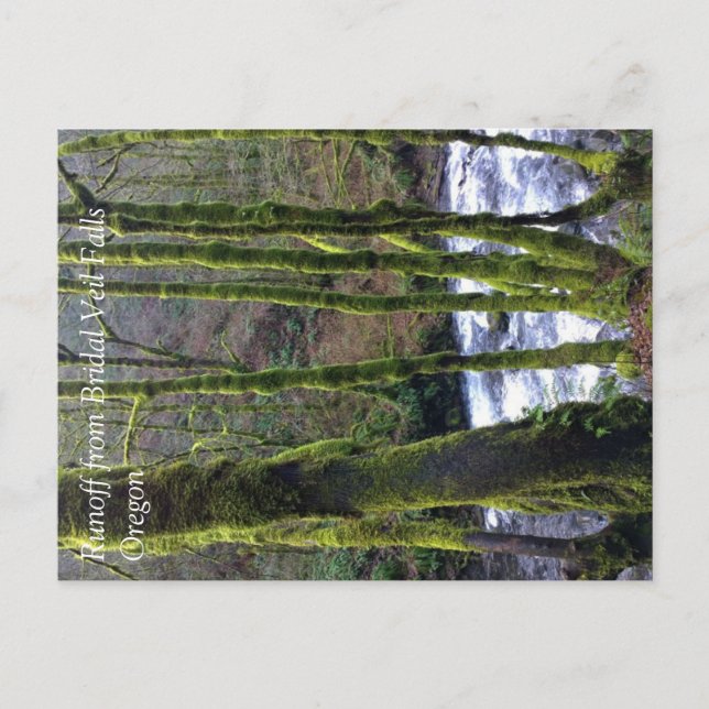 Absturz von Bridal Veil Falls, OR Postkarte (Vorderseite)