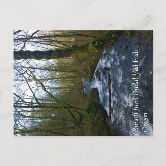 Absturz von Bridal Veil Falls, OR Postkarte (Vorderseite)