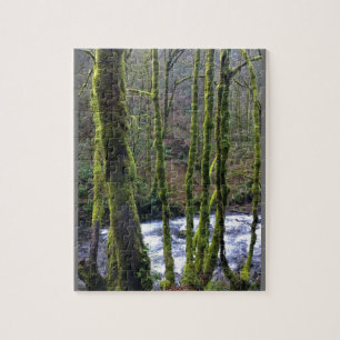 Absturz von Bridal Veil Falls, OR Puzzle