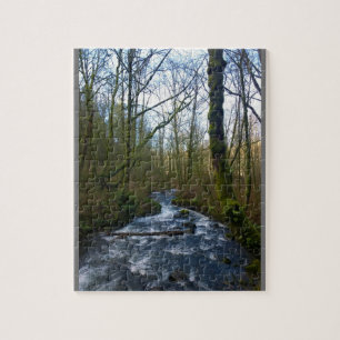 Absturz von Bridal Veil Falls, OR Puzzle