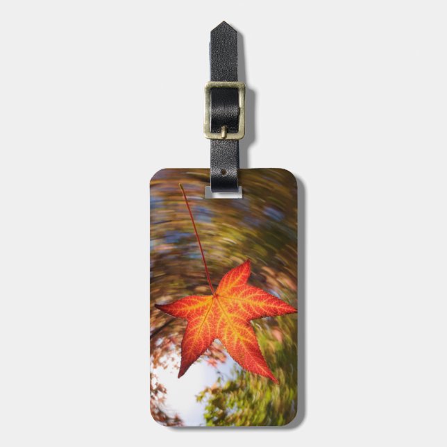 Absturz von einem Baum im Herbst Gepäckanhänger (Vorderseite vertikal)