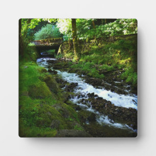 Absturz von Wahkeena Falls, OR Fotoplatte