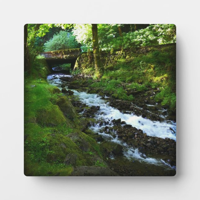 Absturz von Wahkeena Falls, OR Fotoplatte (Vorderseite)