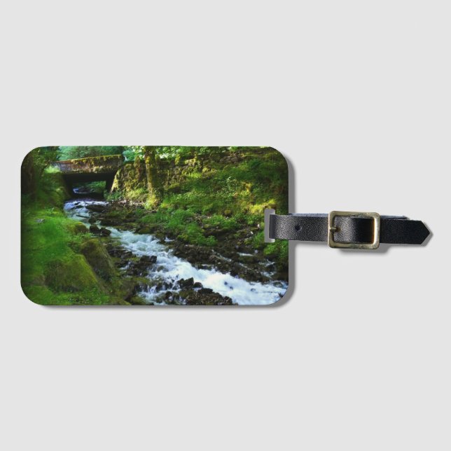 Absturz von Wahkeena Falls, OR Gepäckanhänger (Vorderseite (Horizontal))