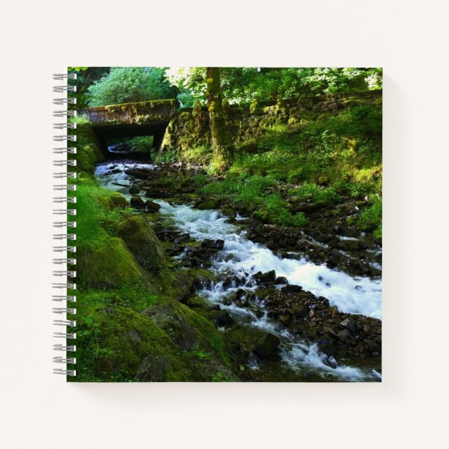 Absturz von Wahkeena Falls, OR Notizbuch (Vorderseite)