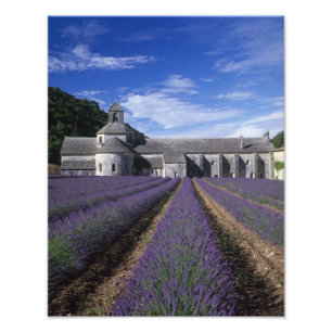 Abtei Sénanque, Gordes, Vaucluse, Provence, Fotodruck