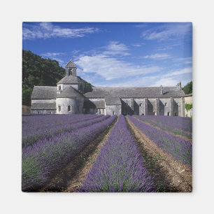 Abtei Sénanque, Gordes, Vaucluse, Provence, Magnet