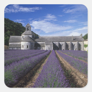 Abtei Sénanque, Gordes, Vaucluse, Provence, Quadratischer Aufkleber
