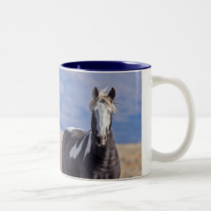 Abtrünniger, wilder Stallion Zweifarbige Tasse