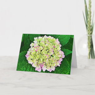 Abundant Hydrangea Scripture Card 1 Timothy 1:14 Karte