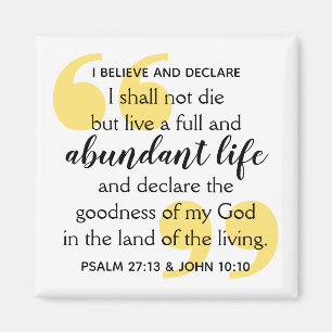 ABUNDANT LIFE Positive Christlich Affirmative Magnet