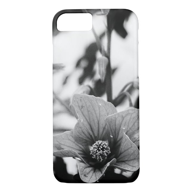 Abutilon Pictum Blume Schwarz-Weiß-Fotografie Case-Mate iPhone Hülle (Rückseite)