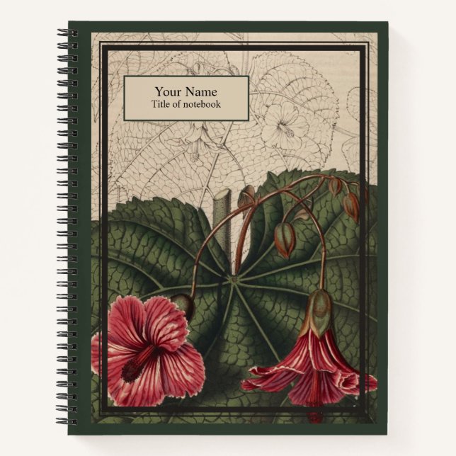 Abutilon Reverie Notebook Notizbuch (Vorderseite)