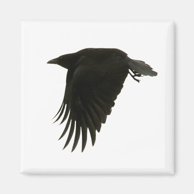 Abwärtsmagnet Magnet (Vorne)