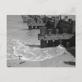 "Abwehrmaßnahmen gegen das Holzmeer" Postkarte