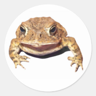 Abweisende Toad Runder Aufkleber