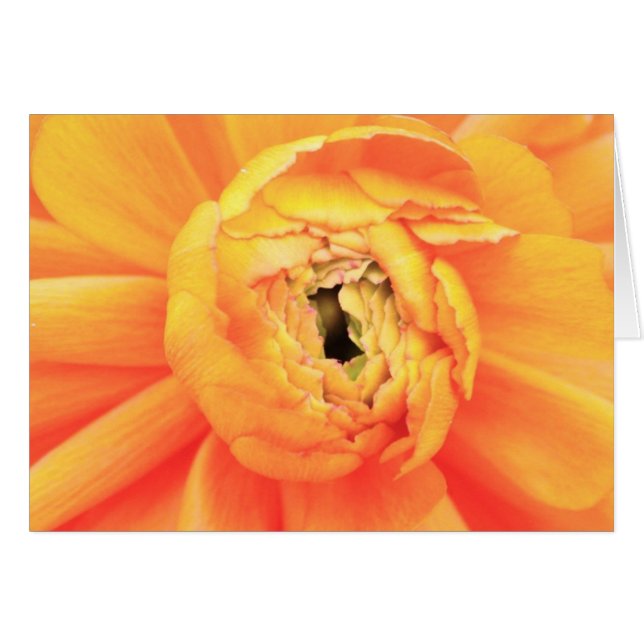 Abwickeln (Vorderseite (Horizontal))