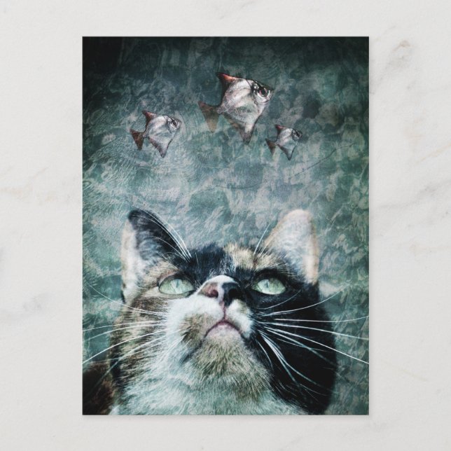 Abyss cat Postcard Postkarte (Vorderseite)