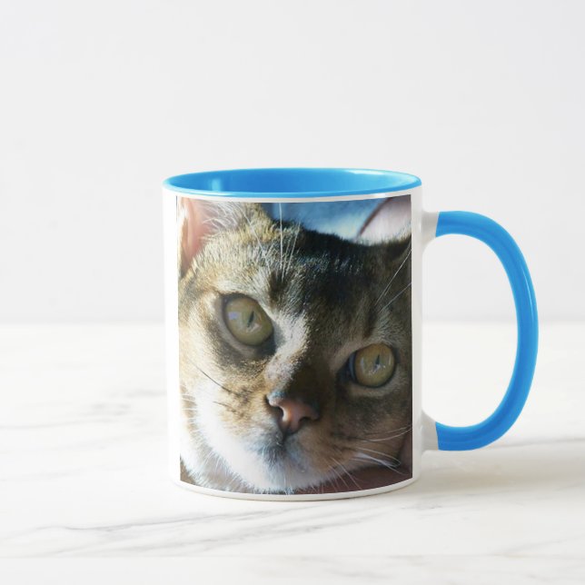 Abyssinian Blue Male Cat Tasse (Rechts)