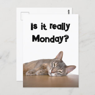 Abyssinian Brown Funny Cat Hates Monday Meme Postkarte