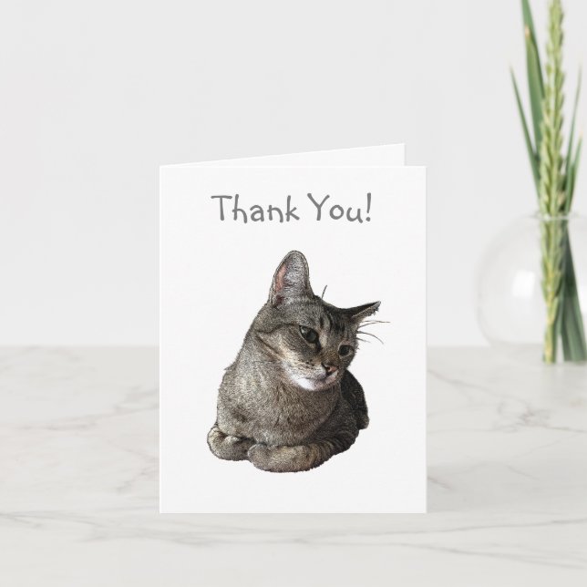 Abyssinian Cat Danke-Card Dankeskarte (Vorderseite)