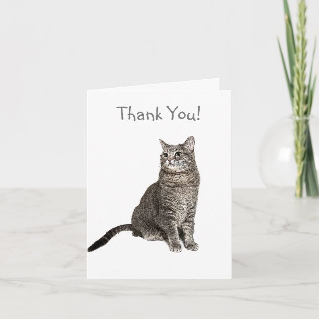 Abyssinian Cat Danke-Card Dankeskarte (Vorderseite)