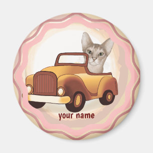 Abyssinian Cat Driving Car Magnet