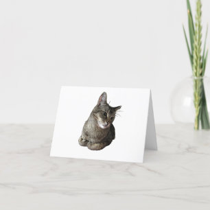 Abyssinian Cat Geburtstagskarte Feiertagskarte