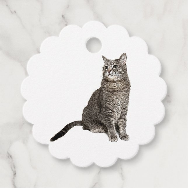 Abyssinian Cat Geschenkanhänger (Vorderseite)