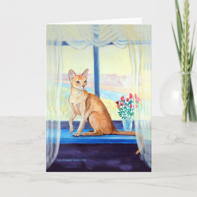 Abyssinian Cat Greeting Cards Karte (Vorderseite)