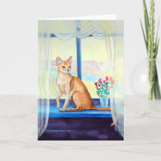 Abyssinian Cat Greeting Cards Karte