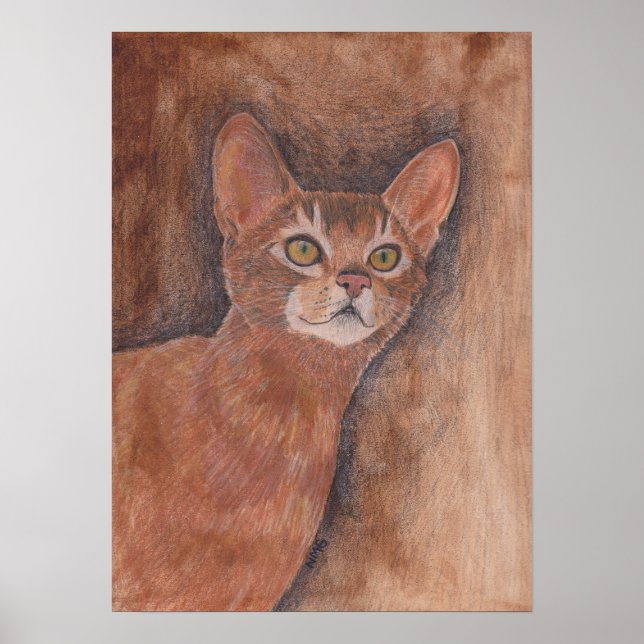 Abyssinian Cat Poster (Vorne)