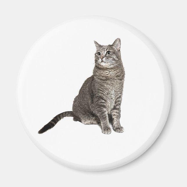 Abyssinian Cat Round Magnet (Vorne)