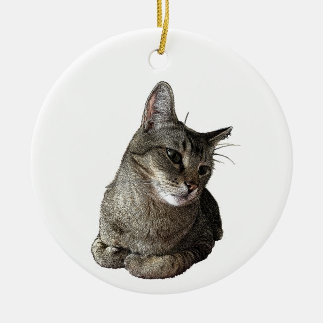 Abyssinian Cat Round Ornament (Vorne)