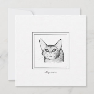 Abyssinian Cat Zeichnend flache Note Card Mitteilungskarte