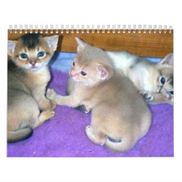 Abyssinian Cats Kalender