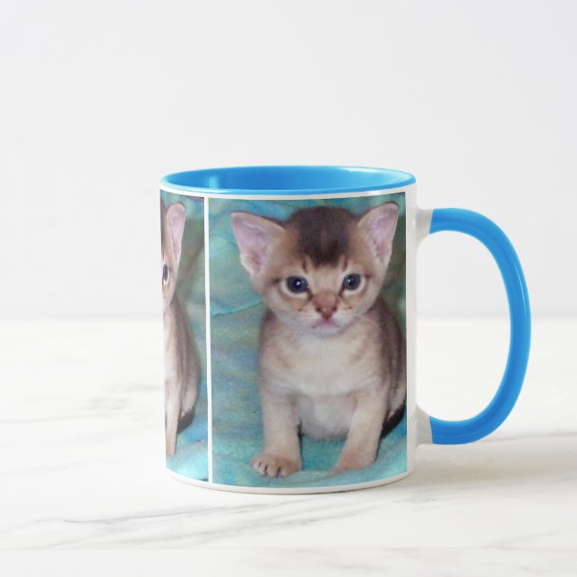 Abyssinian Kitten Tasse (Rechts)
