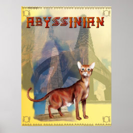 Abyssinian Poster