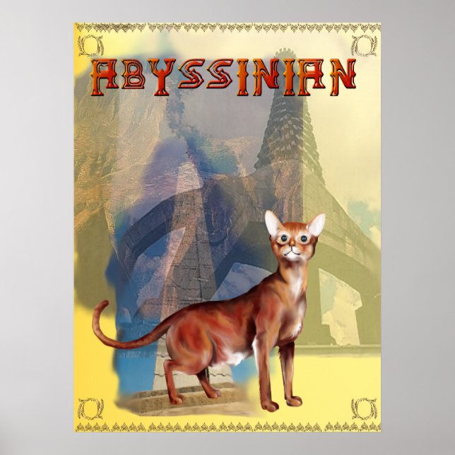 Abyssinian Poster (Vorne)