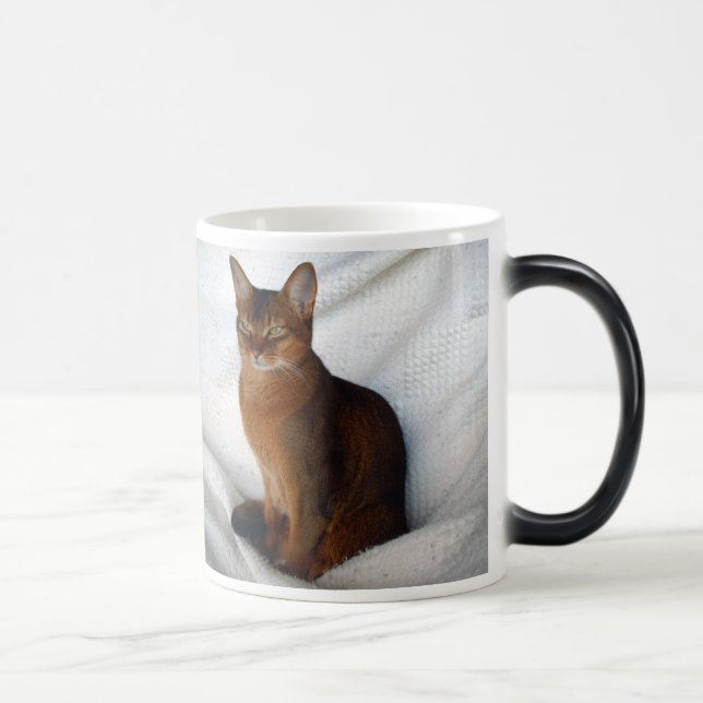 Abyssinische rötliche weibliche Katzen-Tasse Verwandlungstasse (Rechts)