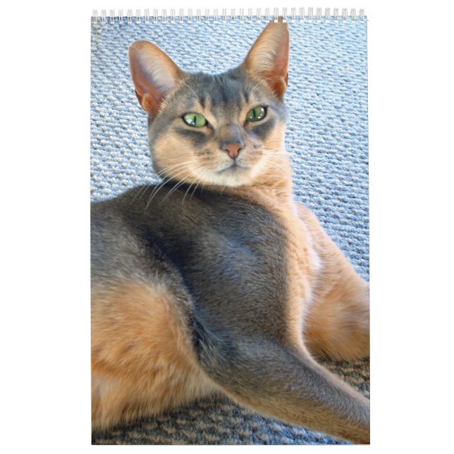 Abyssinischer Katzen-Kalender (fertigen Sie Kalender (Titelbild)