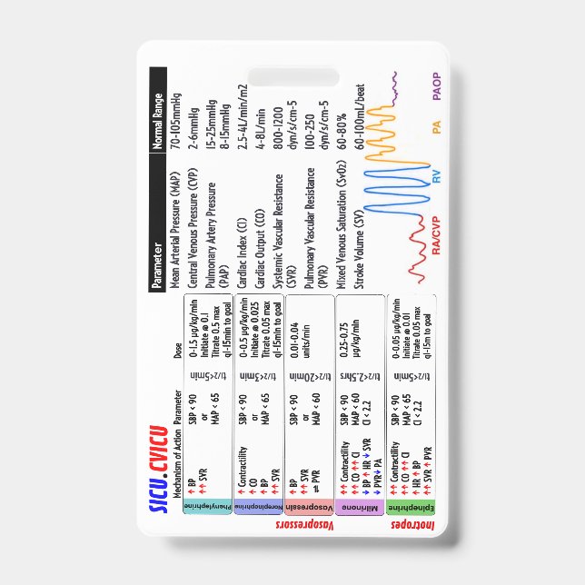 Abzeichen Ausweis (Vorderseite)