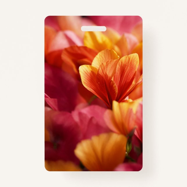 Abzeichen Ausweis (Vorderseite)