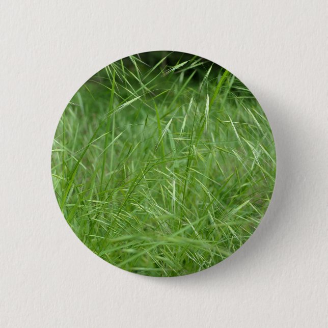 Abzeichen Bromus tectorum Button (Vorderseite)