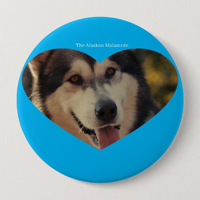 Abzeichen Button (Vorderseite)