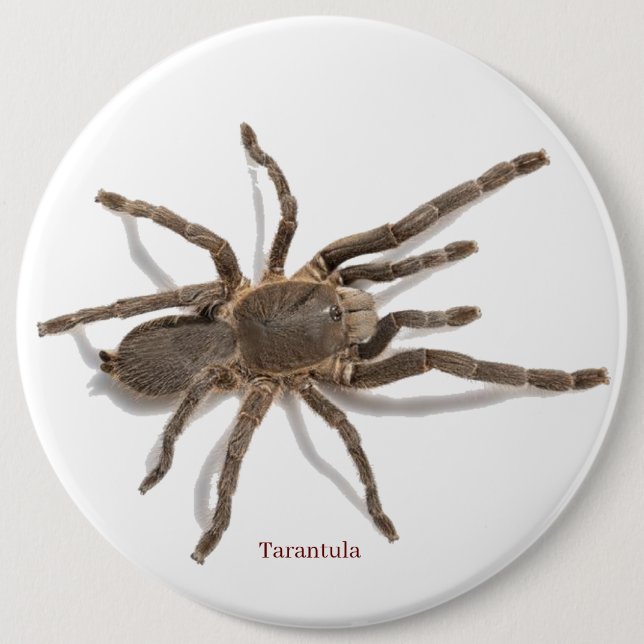 Abzeichen Button (Vorderseite)